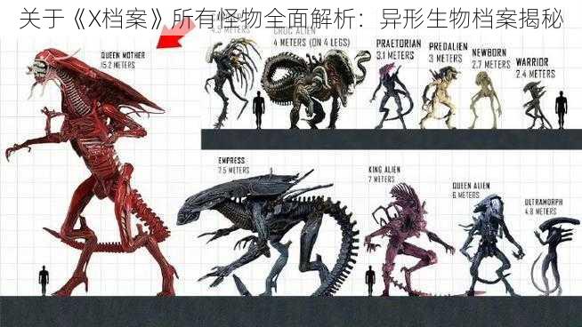关于《X档案》所有怪物全面解析:异形生物档案揭秘