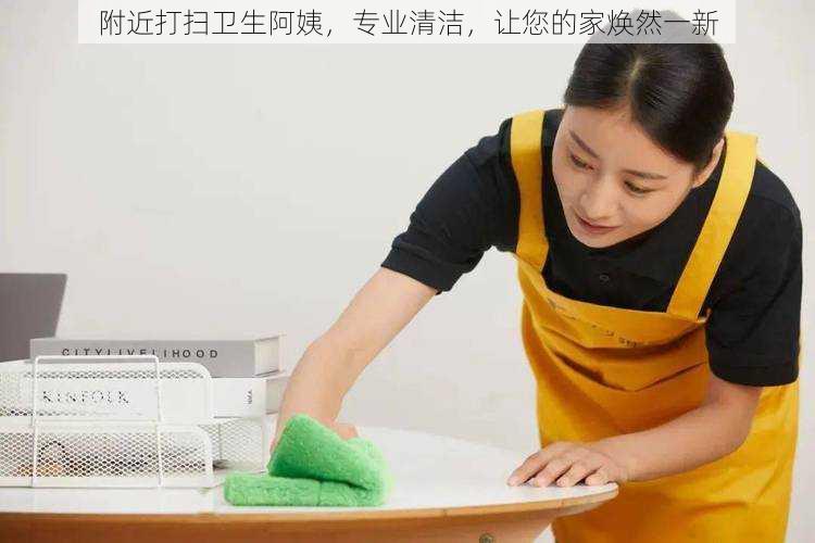 附近打扫卫生阿姨，专业清洁，让您的家焕然一新
