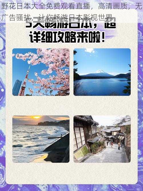 野花日本大全免费观看直播,高清画质,无广告骚扰,让你畅游日本影视世界