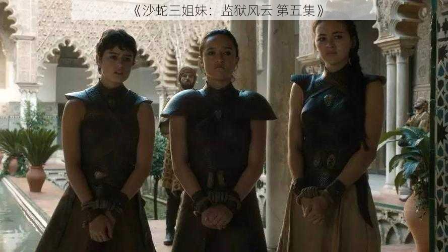 《沙蛇三姐妹:监狱风云 第五集》