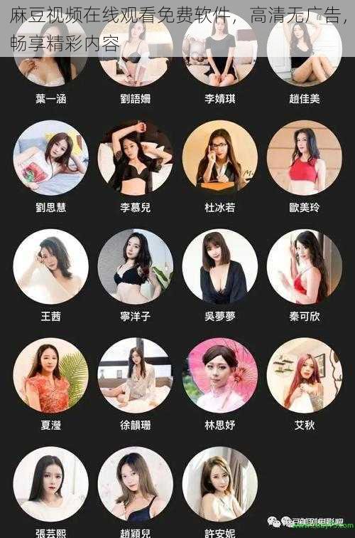 麻豆视频在线观看免费软件,高清无广告,畅享精彩内容