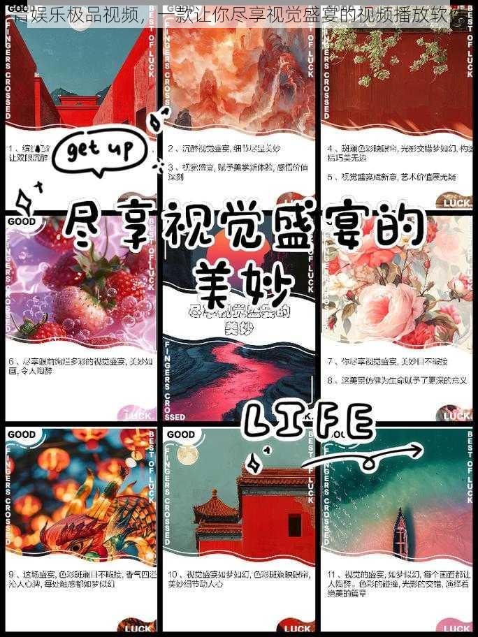 青娱乐极品视频,一款让你尽享视觉盛宴的视频播放软件
