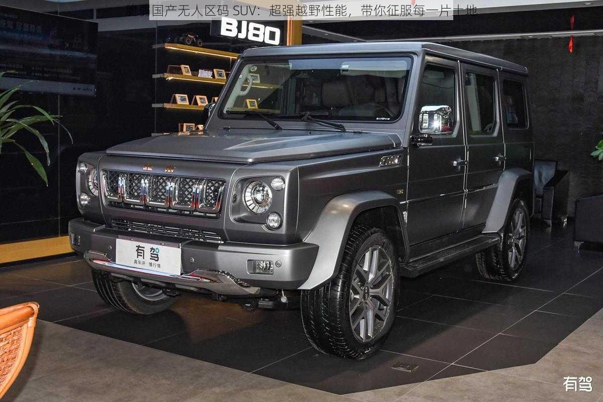 脆弱国产无人区码 SUV:超强越野性能,带你征服每一片土地