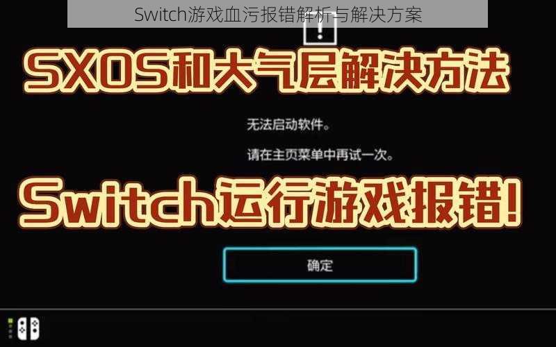 Switch游戏血污报错解析与解决方案