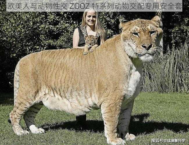 欧美人与动物性交 ZOOZ 特系列动物交配专用安全套