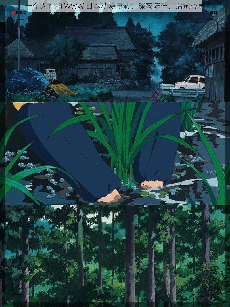 一个人看的 WWW 日本动漫电影:深夜陪伴,治愈心灵