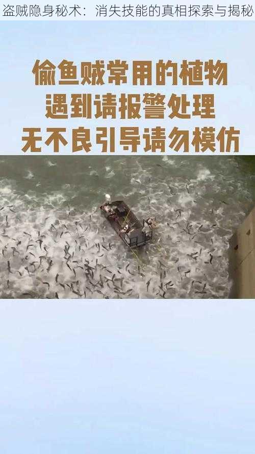 盗贼隐身秘术:消失技能的真相探索与揭秘