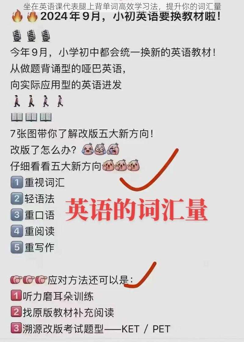 坐在英语课代表腿上背单词高效学习法,提升你的词汇量