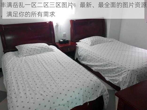 丰满岳乱一区二区三区图片:最新、最全面的图片资源,满足你的所有需求