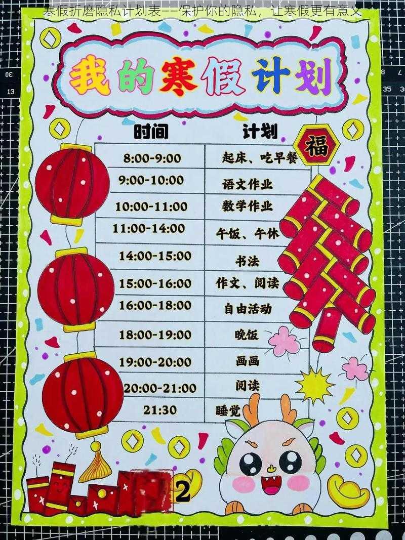 寒假折磨隐私计划表——保护你的隐私,让寒假更有意义