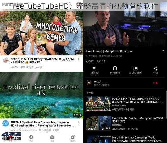 FreeTubeTubeHD,流畅高清的视频播放软件