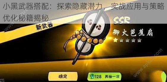 小黑武器搭配:探索隐藏潜力,实战应用与策略优化秘籍揭秘