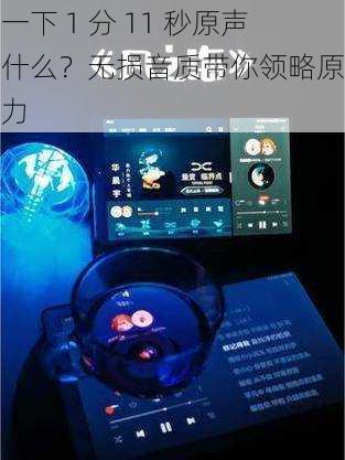 等一下 1 分 11 秒原声是什么?无损音质带你领略原声魅力