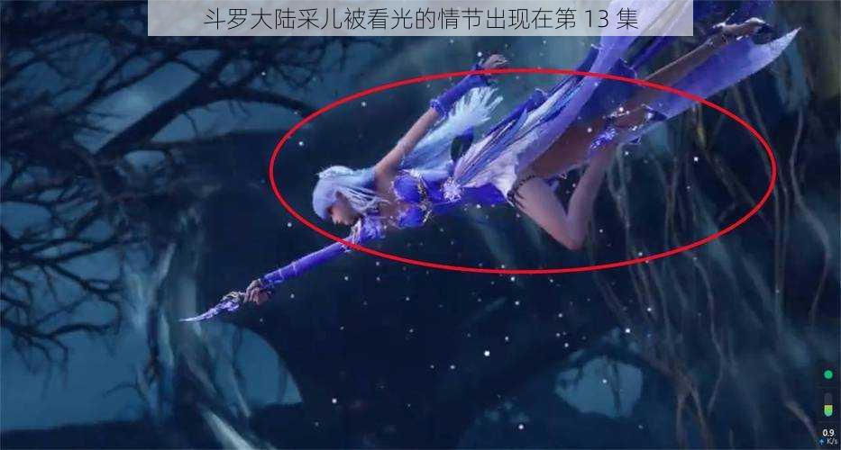 斗罗大陆采儿被看光的情节出现在第 13 集