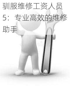 驯服维修工资人员 5:专业高效的维修助手