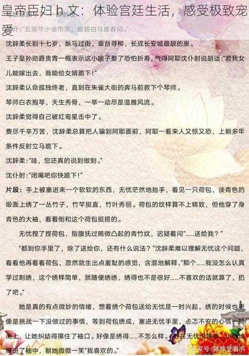 皇帝臣妇 h 文:体验宫廷生活,感受极致宠爱