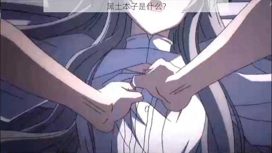 黑土本子是什么?