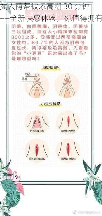 女人荫蒂被添高潮 30 分钟——全新快感体验,你值得拥有