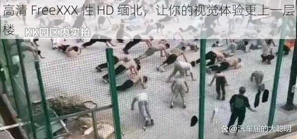 高清 FreeXXX 性 HD 缅北,让你的视觉体验更上一层楼