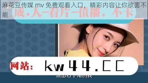 麻花豆传媒 mv 免费观看入口,精彩内容让你欲罢不能