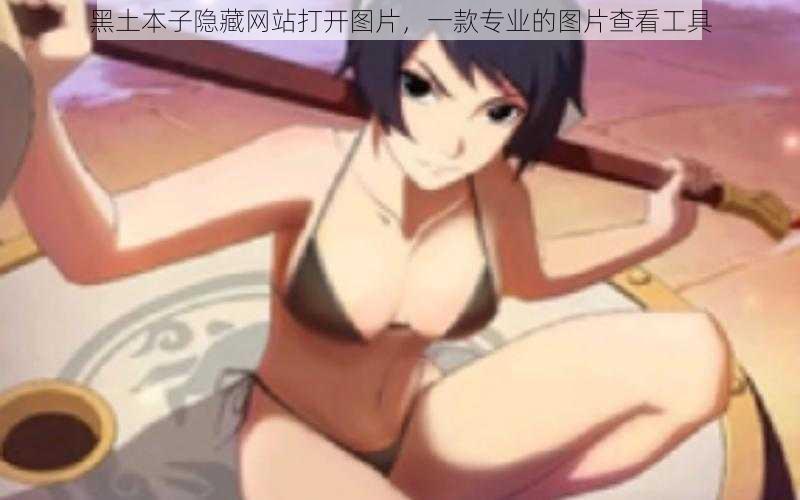 黑土本子隐藏网站打开图片,一款专业的图片查看工具