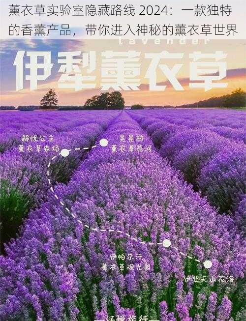 薰衣草实验室隐藏路线 2024:一款独特的香薰产品,带你进入神秘的薰衣草世界