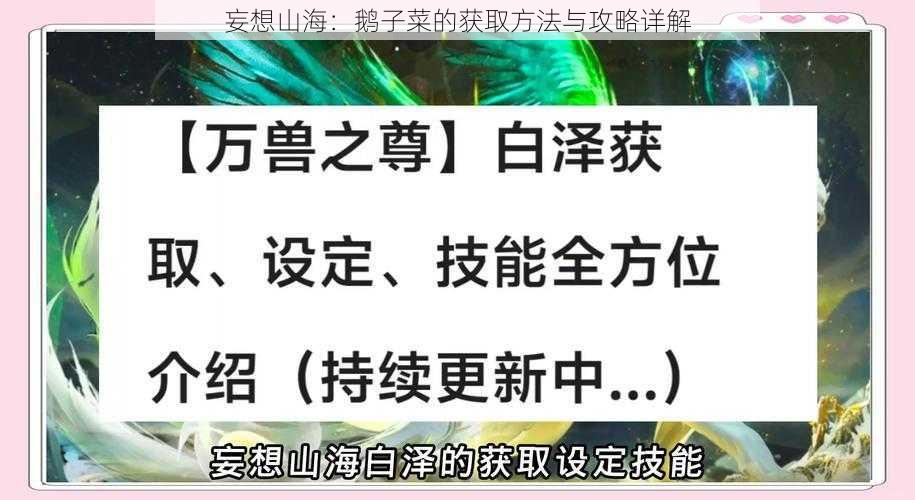 妄想山海:鹅子菜的获取方法与攻略详解
