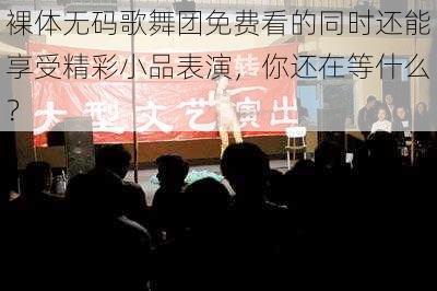 裸体无码歌舞团免费看的同时还能享受精彩小品表演,你还在等什么?