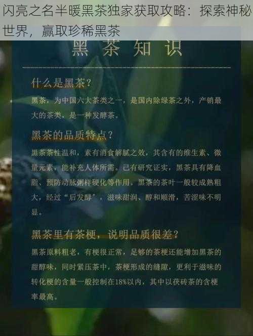 闪亮之名半暖黑茶独家获取攻略:探索神秘世界,赢取珍稀黑茶