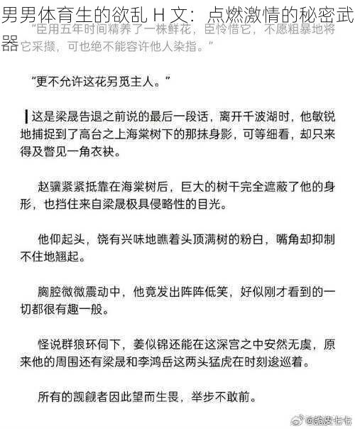 男男体育生的欲乱 H 文:点燃激情的秘密武器