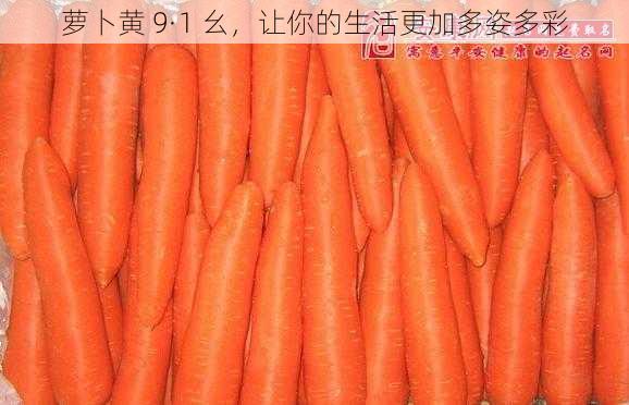 萝卜黄 9·1 幺,让你的生活更加多姿多彩