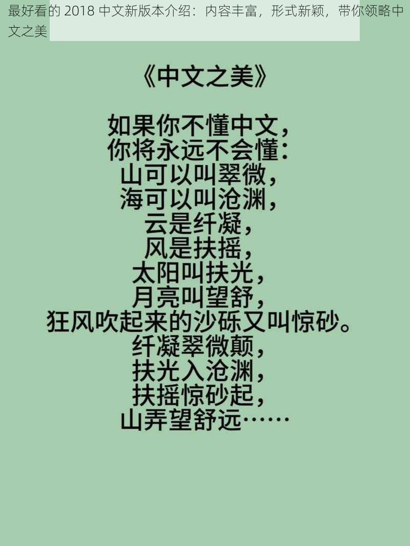 最好看的 2018 中文新版本介绍:内容丰富,形式新颖,带你领略中文之美