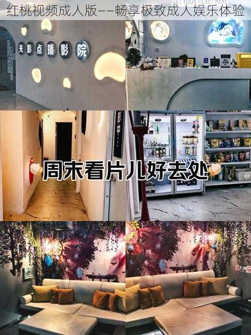 红桃视频成人版——畅享极致成人娱乐体验
