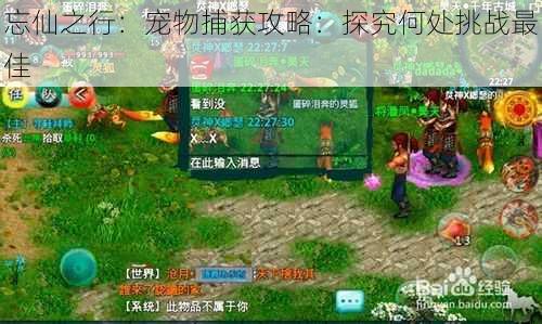 忘仙之行:宠物捕获攻略:探究何处挑战最佳