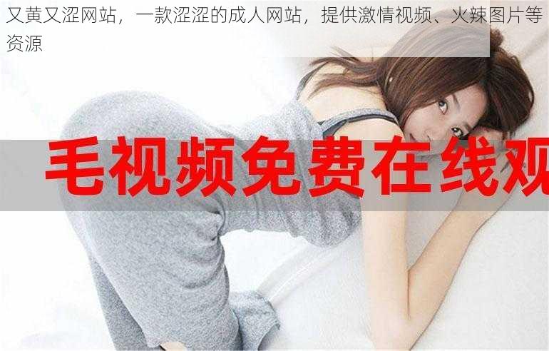 又黄又涩网站,一款涩涩的成人网站,提供激情视频、火辣图片等资源