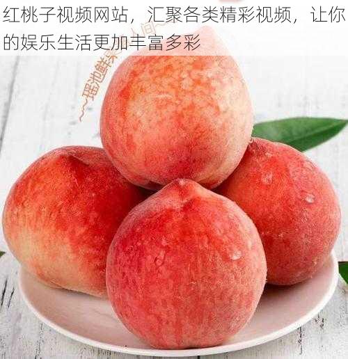 红桃子视频网站,汇聚各类精彩视频,让你的娱乐生活更加丰富多彩