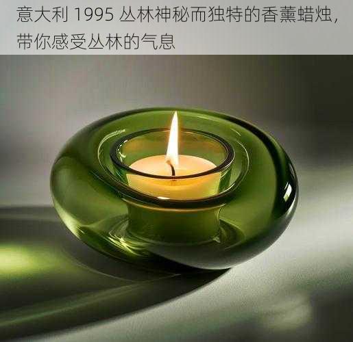 意大利 1995 丛林神秘而独特的香薰蜡烛,带你感受丛林的气息