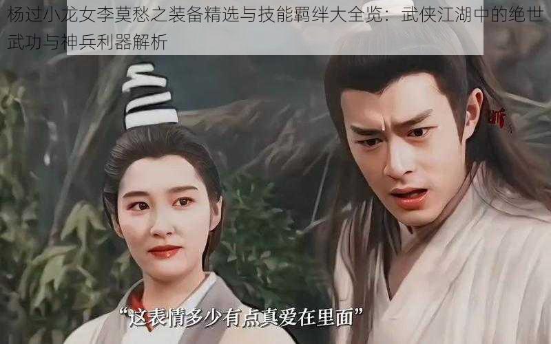 杨过小龙女李莫愁之装备精选与技能羁绊大全览:武侠江湖中的绝世武功与神兵利器解析