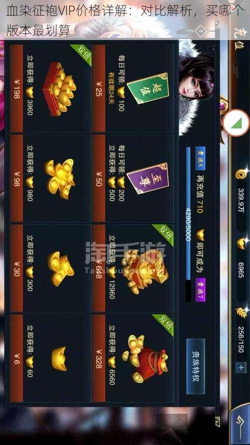 血染征袍VIP价格详解:对比解析,买哪个版本最划算
