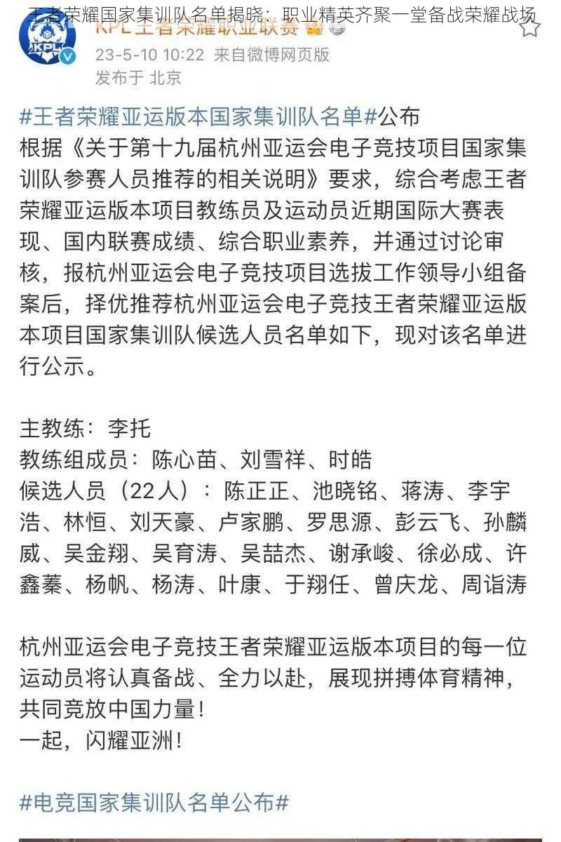 王者荣耀国家集训队名单揭晓:职业精英齐聚一堂备战荣耀战场
