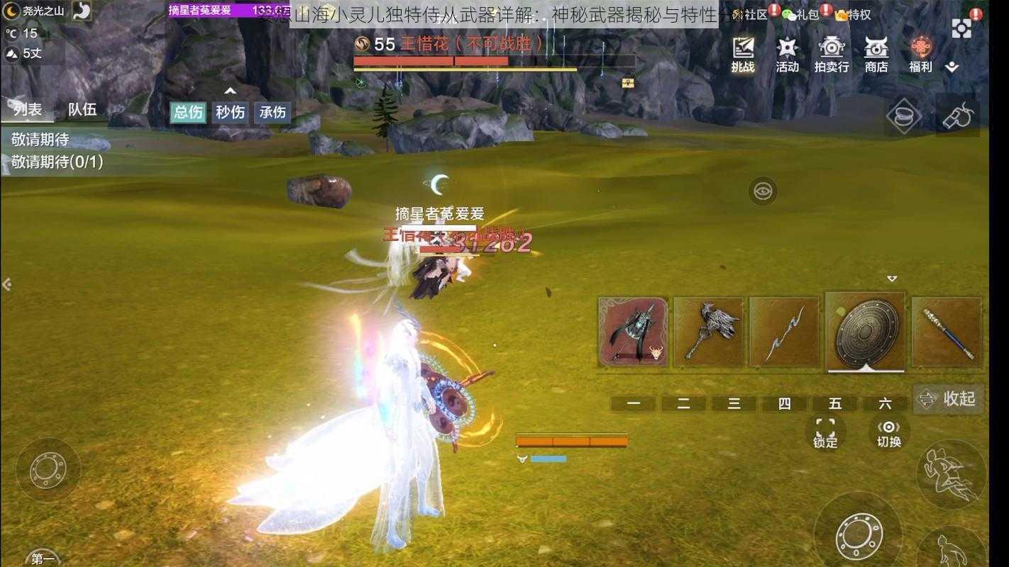 妄想山海小灵儿独特侍从武器详解:神秘武器揭秘与特性分析