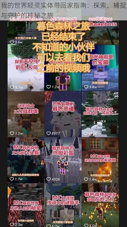 我的世界轻灵实体带回家指南:探索、捕捉与守护的神秘之旅