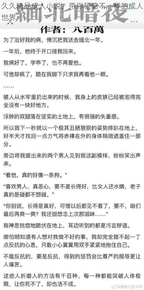 久久精品成人小说,带你领略不一样的成人世界