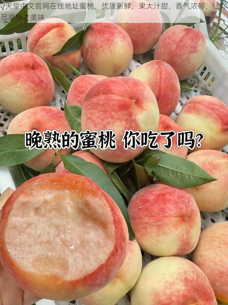 √天堂中文官网在线地址蜜桃,优质新鲜,果大汁甜,香气浓郁,让你尽享桃之美味