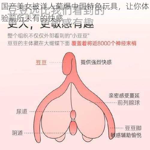 国产美女被洋人菊爆中国特色玩具,让你体验前所未有的快感