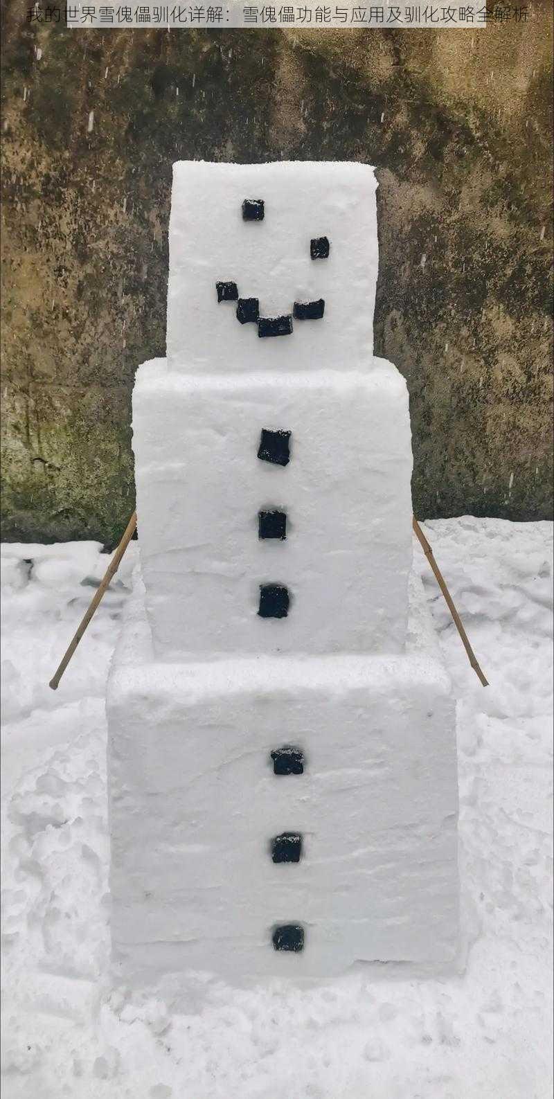 我的世界雪傀儡驯化详解:雪傀儡功能与应用及驯化攻略全解析