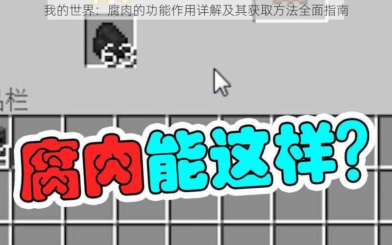 我的世界:腐肉的功能作用详解及其获取方法全面指南