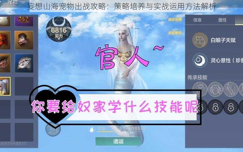 妄想山海宠物出战攻略:策略培养与实战运用方法解析