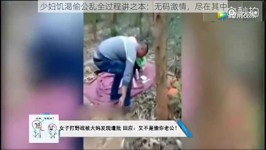 少妇饥渴偷公乱全过程讲之本:无码激情,尽在其中