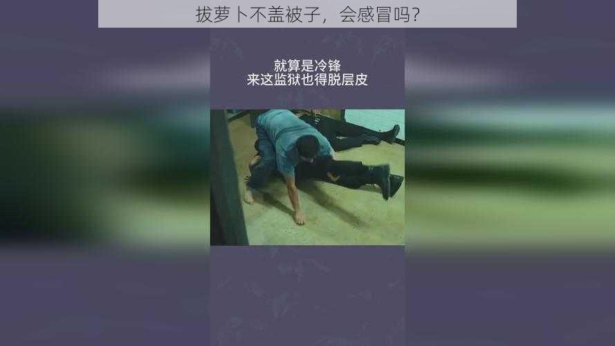 拔萝卜不盖被子,会感冒吗?
